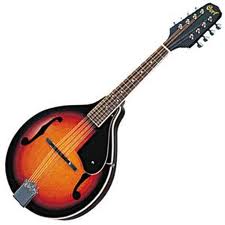 Cort mandolina CM-A100